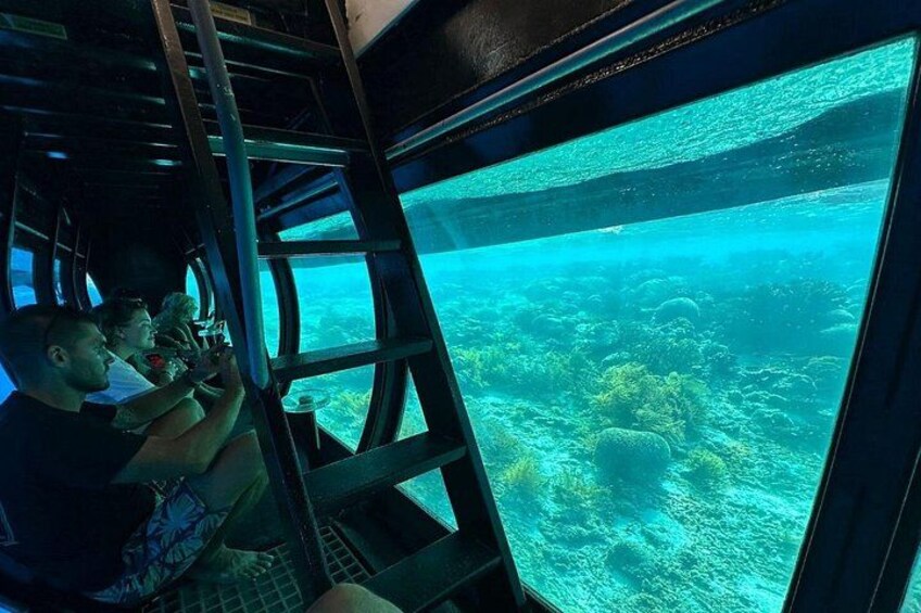 An underwater view through a large window, with a ladder leading to a platform. 1