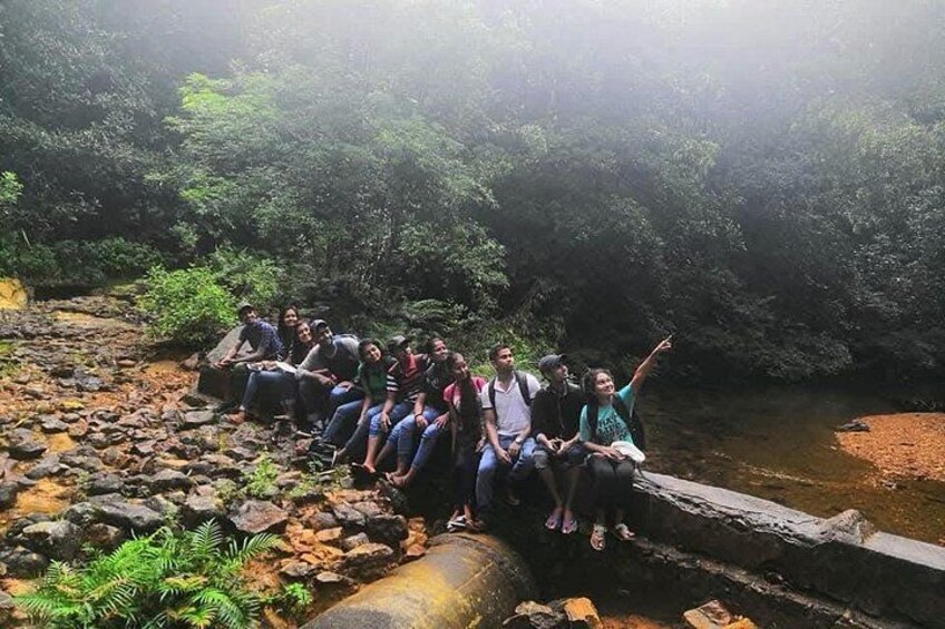 Kanneliya Rainforest, Sri Lanka – A lush biodiversity hotspot teeming with life and serenity. 3