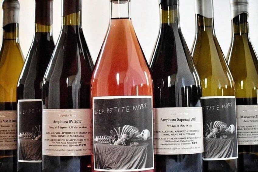 Casual Wine Tasting 5