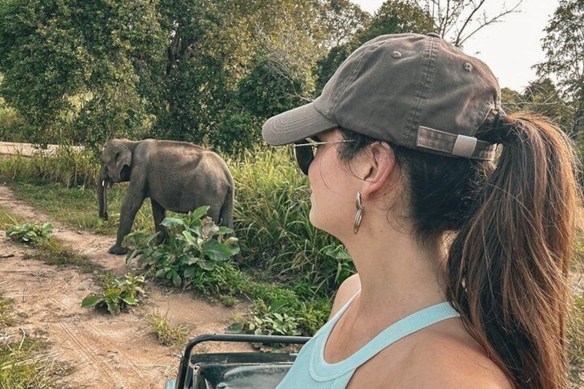 A person observing an elephant on a dirt path in a natural setting. 2