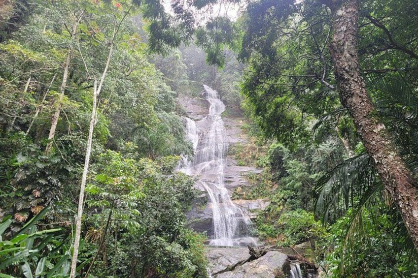 Rio Tijuca Private Rainforest Full Day Tour 5