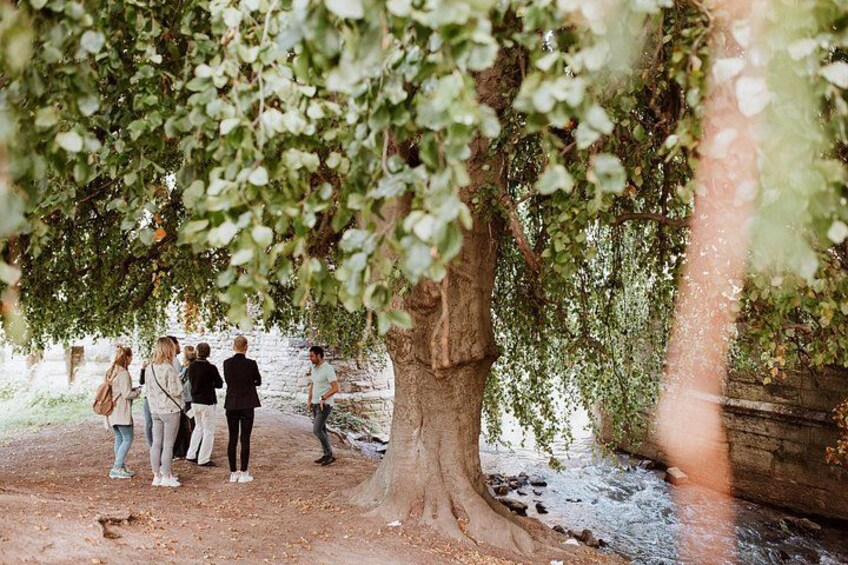 Maastricht Highlights Tour with an official Maastricht Guide 2