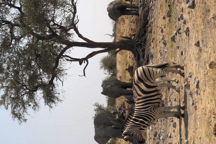 6-Day Namibia Desert and Wildlife Safari Adventure 2