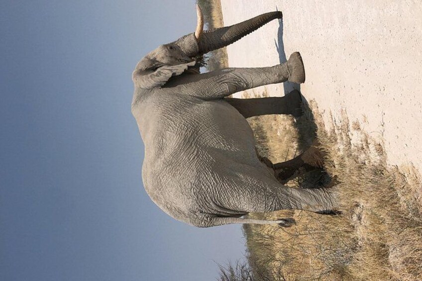 6-Day Namibia Desert and Wildlife Safari Adventure 4