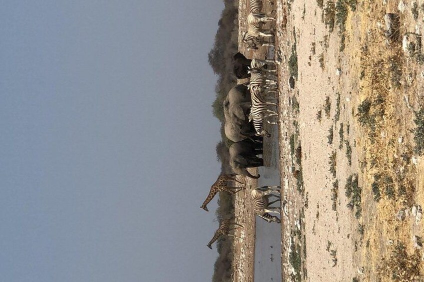 6-Day Namibia Desert and Wildlife Safari Adventure 5