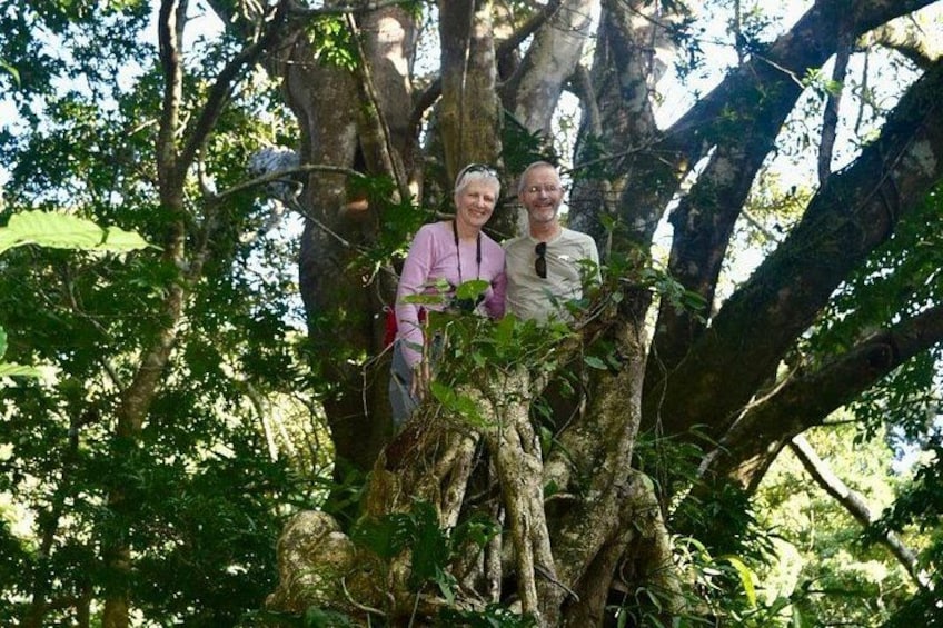 Zwei Personen stehen in einem bewaldeten Gebiet mit großen Bäumen und dichtem Grün. 2