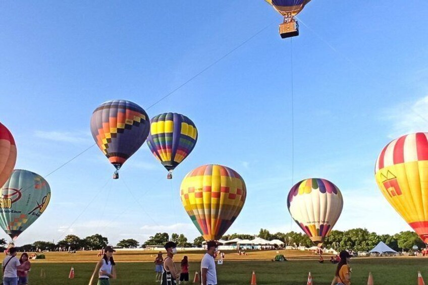 Un campo con varios globos aerostáticos, algunos con diseños coloridos, y un cielo azul despejado. 1