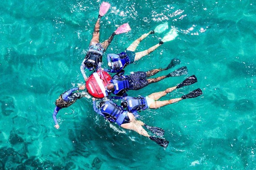 Snorkel Dive with Turtles 1