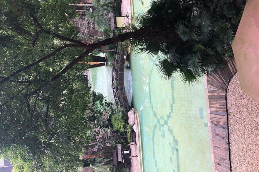 A bridge over a river, surrounded by trees and a tiled walkway. 2