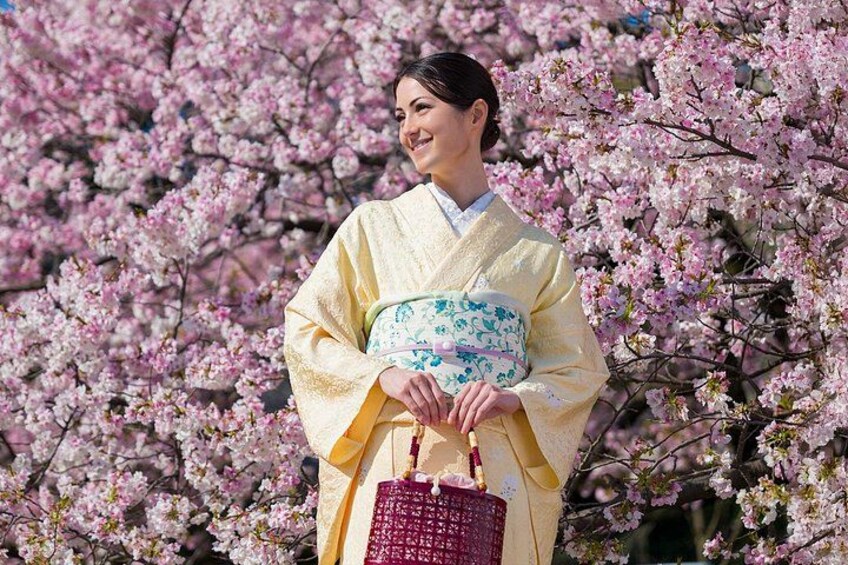 A person in traditional attire standing in front of cherry blossoms. 2