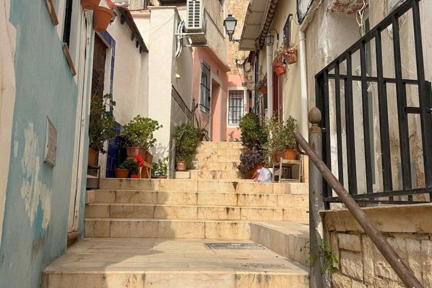 Una calle estrecha con escalones que conducen a un edificio, plantas en macetas sobre los escalones y un portón negro a la derecha. 1