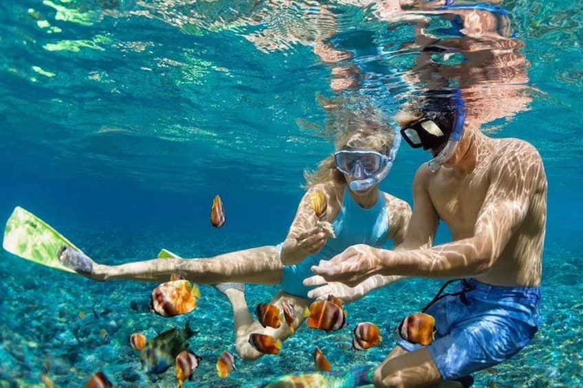 Watersports Adventure in Marigot Bay St Lucia 2
