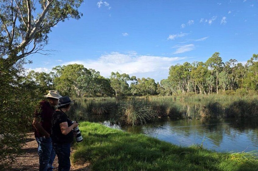 From Adelaide: Ultimate SA Birding & Nature Discovery Tour 3