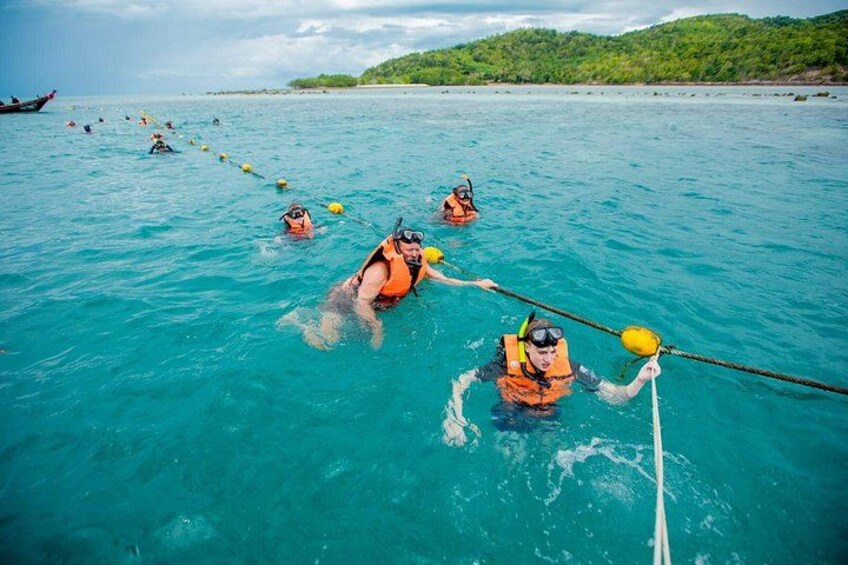 Pink Dolphin and Pig Island Snorkeling Tour from Koh Samui 4