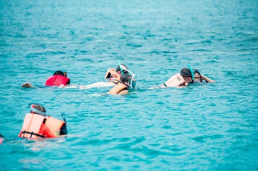 People swimming in the ocean with snorkels and fins. 5