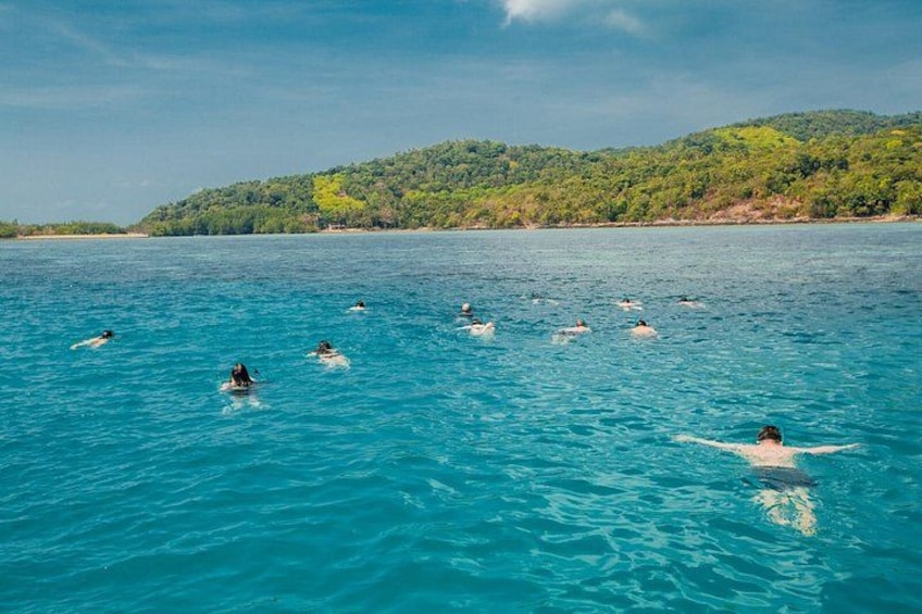 Pink Dolphin and Pig Island Snorkeling Tour from Koh Samui 5