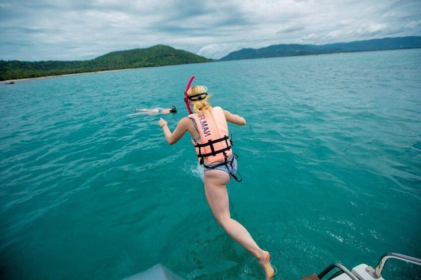 Pink Dolphin and Pig Island Snorkeling Tour from Koh Samui 3