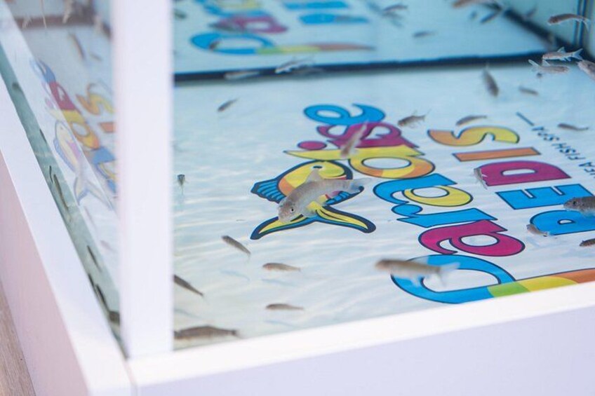Un manifesto colorato con la scritta 'Caracas' e un'illustrazione di un uccello. 2