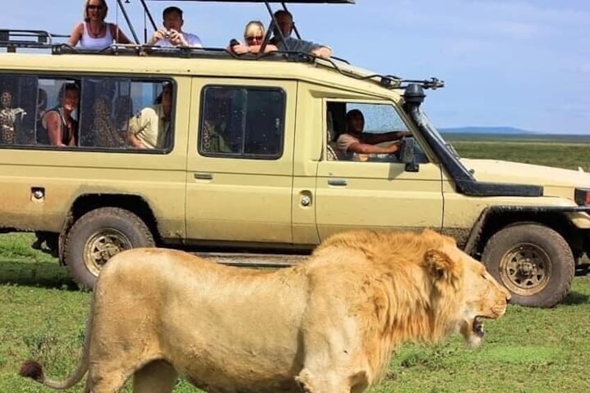 Game Drive with a 4*4 safari jeep 1