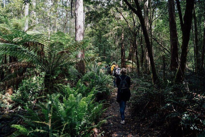 6 Day Island Icons Tassie Day Tour Bundle 4