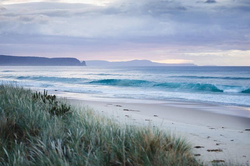 6 Day Island Icons Tassie Day Tour Bundle 5