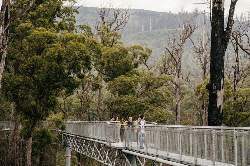 6 Day Island Icons Tassie Day Tour Bundle 3