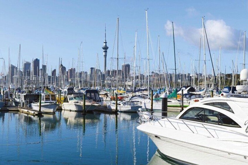 Scenic Harbour Cruise in Auckland 4