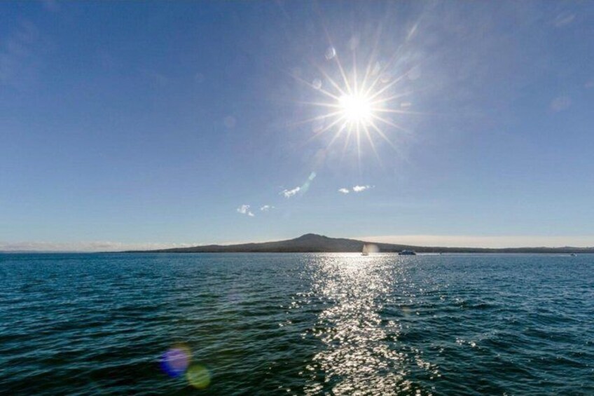 Scenic Harbour Cruise in Auckland 3