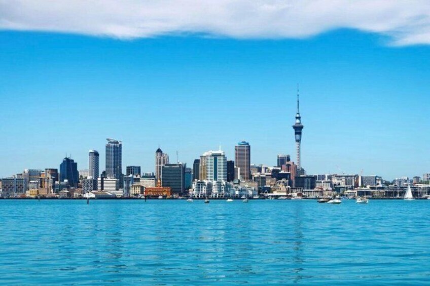 Scenic Harbour Cruise in Auckland 2
