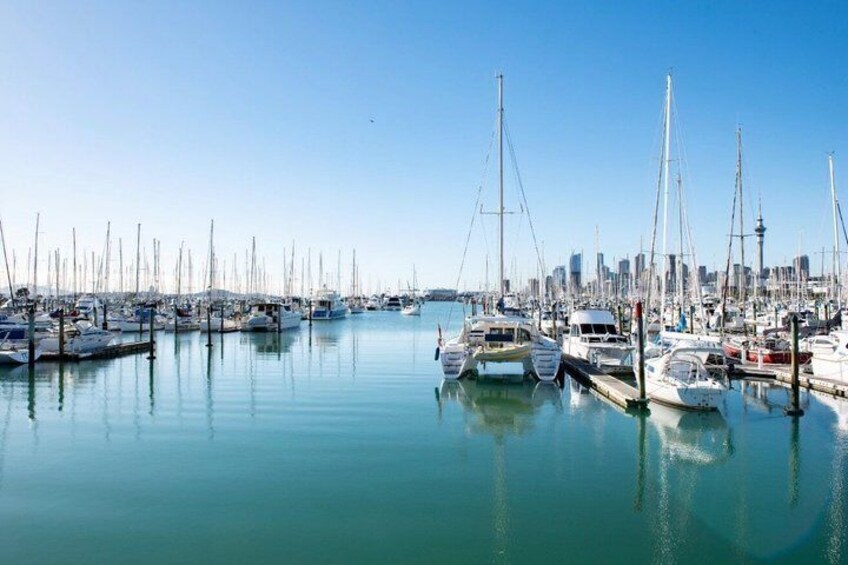 Scenic Harbour Cruise in Auckland 5