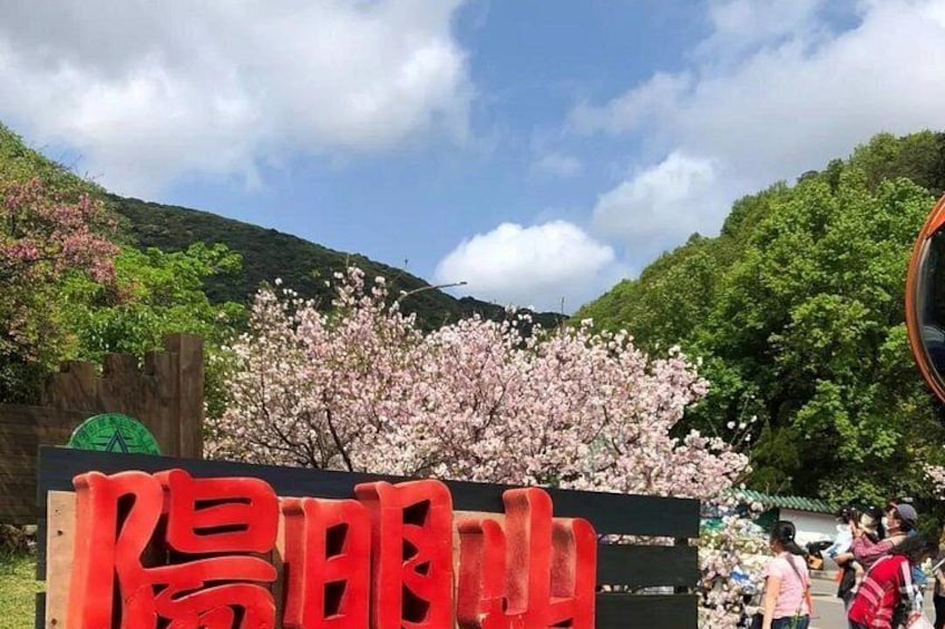 Yangmingshan Flower Bell Park 5