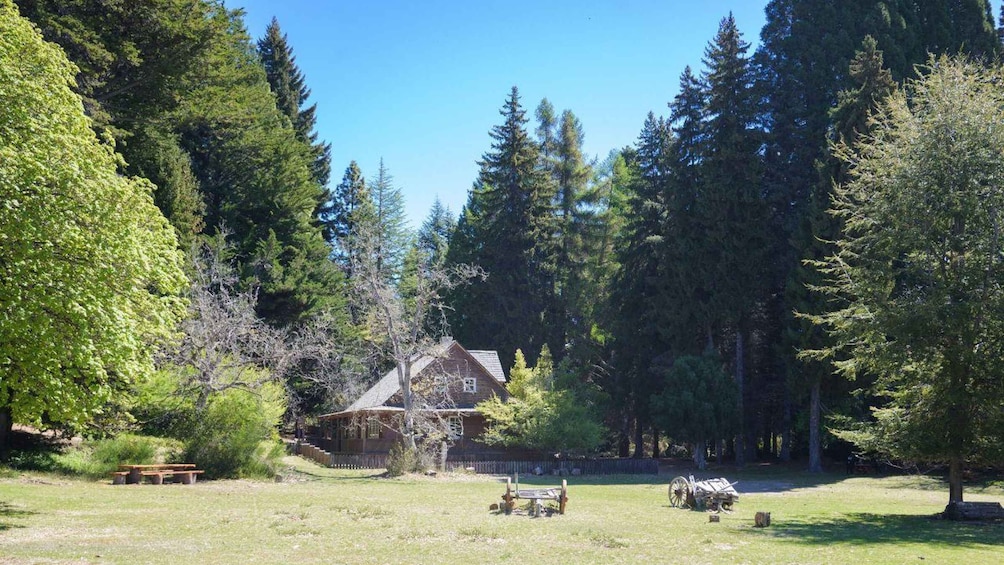 Picture 7 for Activity Bariloche: Boat Tour to Victoria Island and Arrayanes Forest 5
