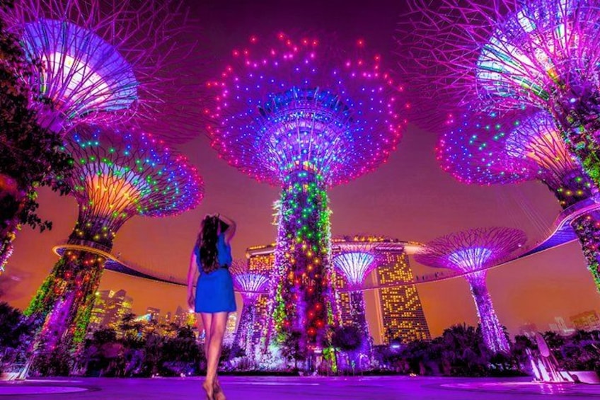Singapore River Cruise with Spectra & Garden Rhapsody Light Show 2