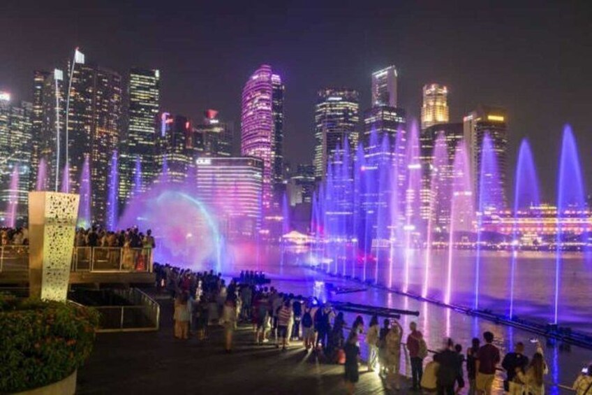 Singapore River Cruise with Spectra & Garden Rhapsody Light Show 2