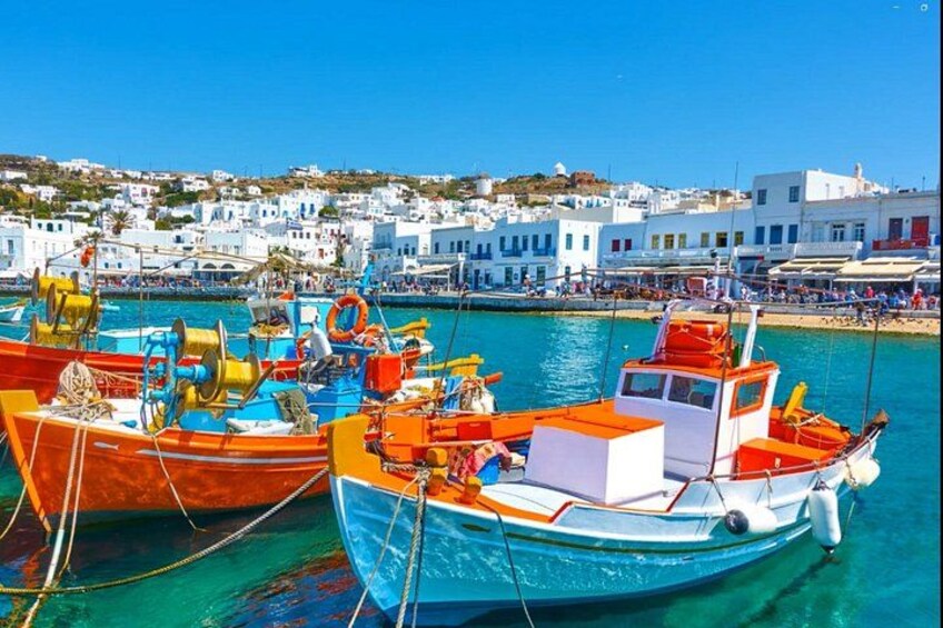 Shore Excursion Relax at the Beach and Explore Mykonos Town 5