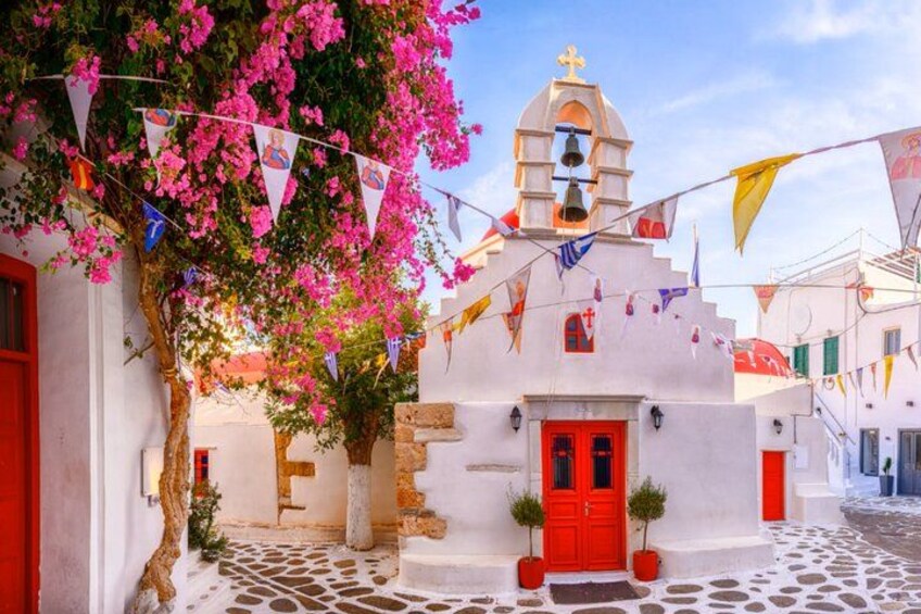 Shore Excursion Relax at the Beach and Explore Mykonos Town 5