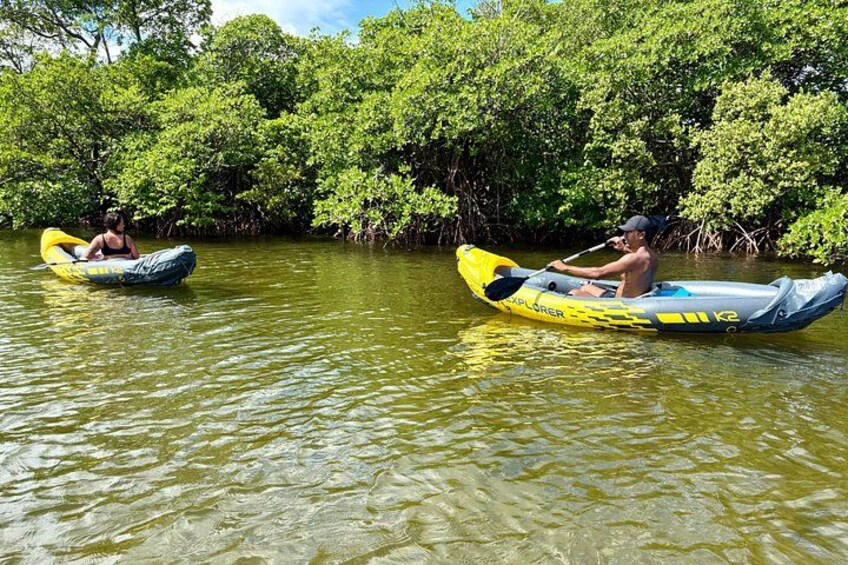 Two people in inflatable boats on a river surrounded by dense mangrove trees. 4