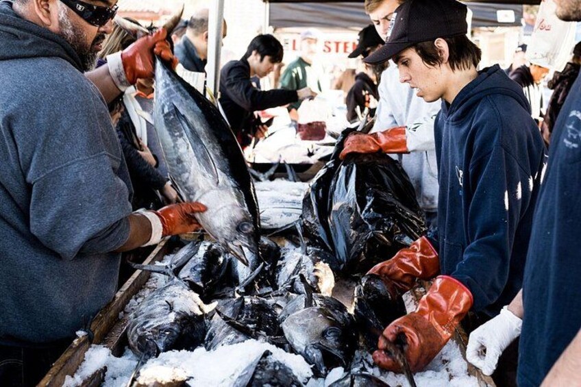 Tuna Harbor Market 3