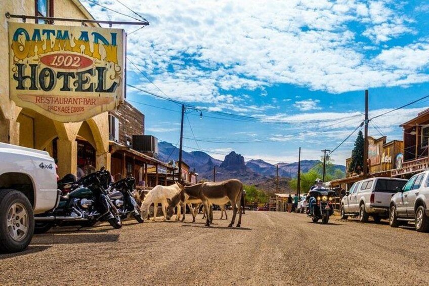A 1902 Oatman Hotel sign, a dirt road, parked motorcycles, and cows. 1