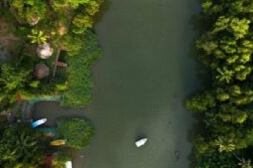 A river with a boat, surrounded by dense greenery. 2