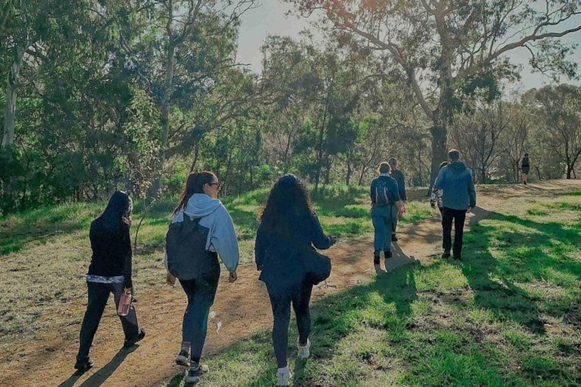 Yarra Bend trail walk 3
