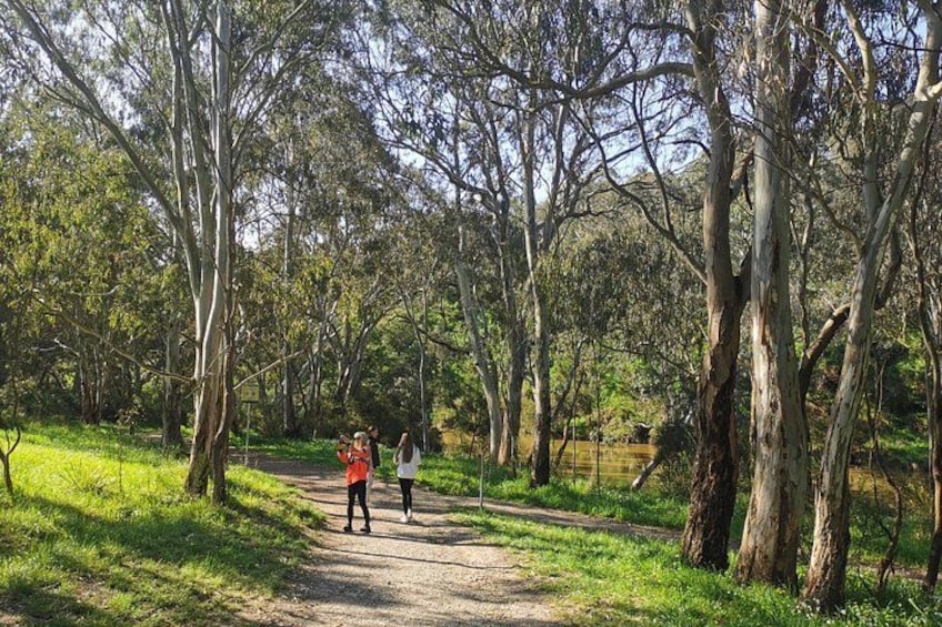 Yarra River 5