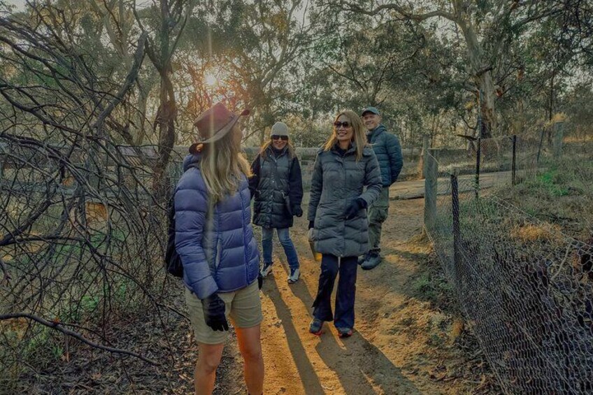 Yarra Bend trail-walk 4