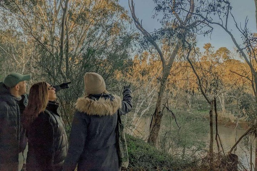 River trail-walk showing Flying Foxes 2