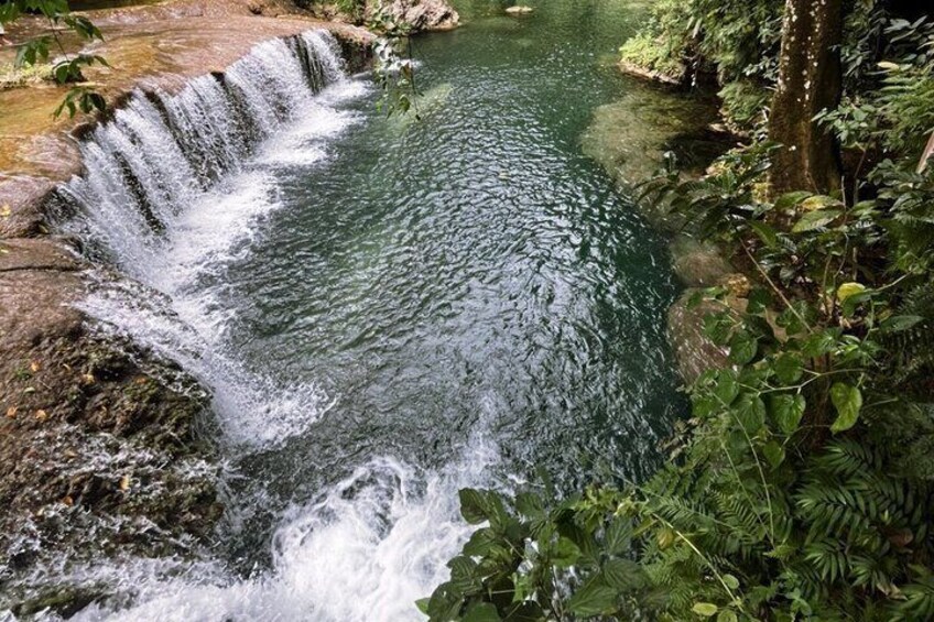 A waterfall cascading into a river surrounded by lush greenery. 1