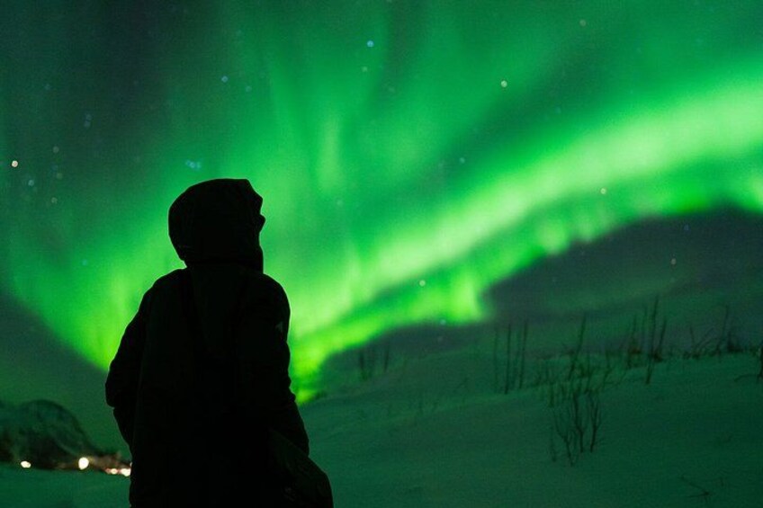 A silhouette of a person against a backdrop of the Northern Lights. 5