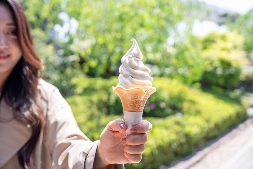A person holding a soft-serve ice cream cone with a creamy swirl. 5