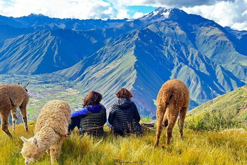 A mountainous landscape with llamas grazing and two people sitting on a bench. 3