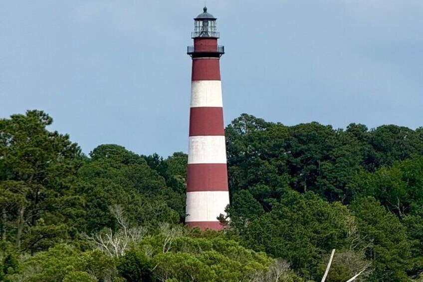 Chincoteague Wildlife Sunset Boat Tour 2