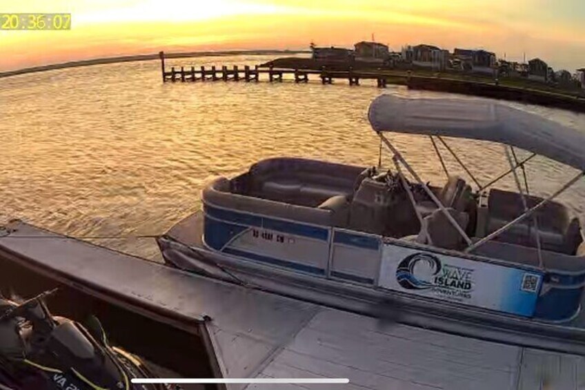 Chincoteague Wildlife Sunset Boat Tour 5